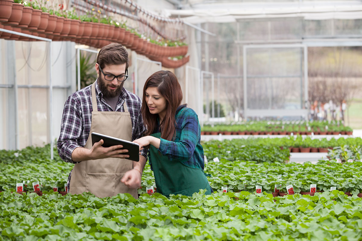 E-payment streamlines transactions and improves sales for greenhouse owners.